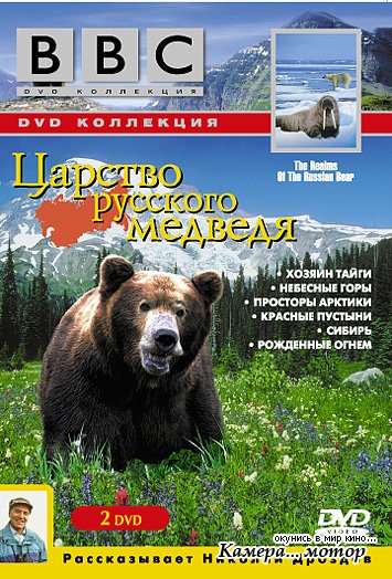 Царство русского медведя